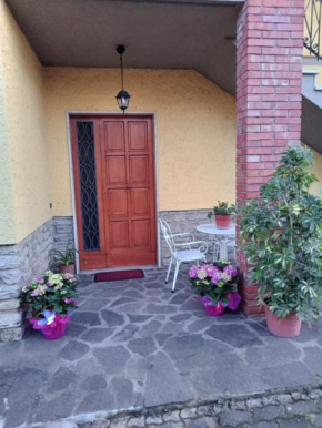 Casa gatta rossa